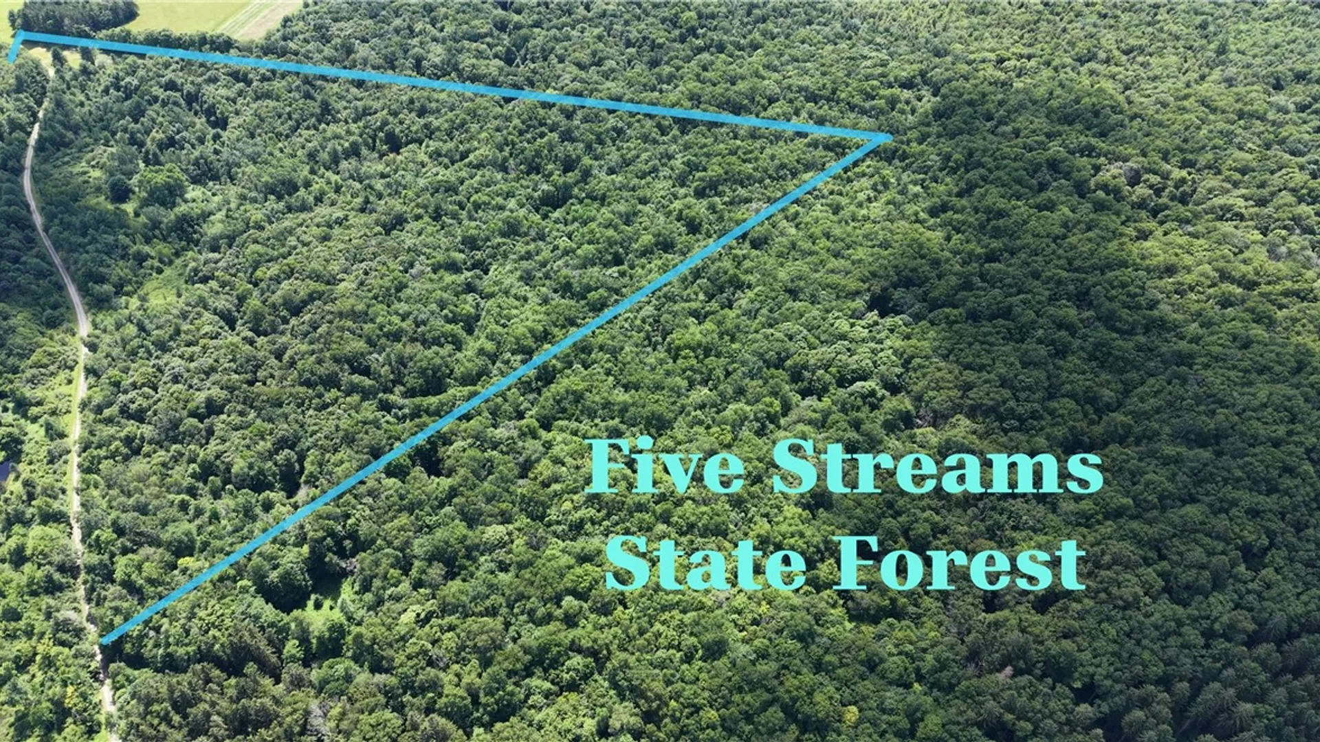 Property at *Rabbit Path (POLP: 409 Cty Rd 5), German, NY 13801 28