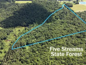Property at *Rabbit Path (POLP: 409 Cty Rd 5), German, NY 13801