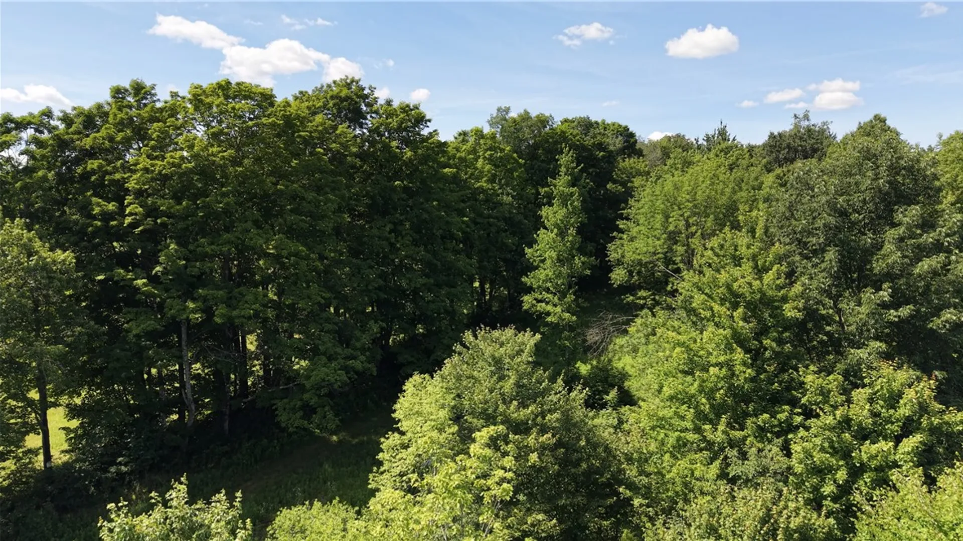 Property at *Rabbit Path (POLP: 409 Cty Rd 5), German, NY 13801 12