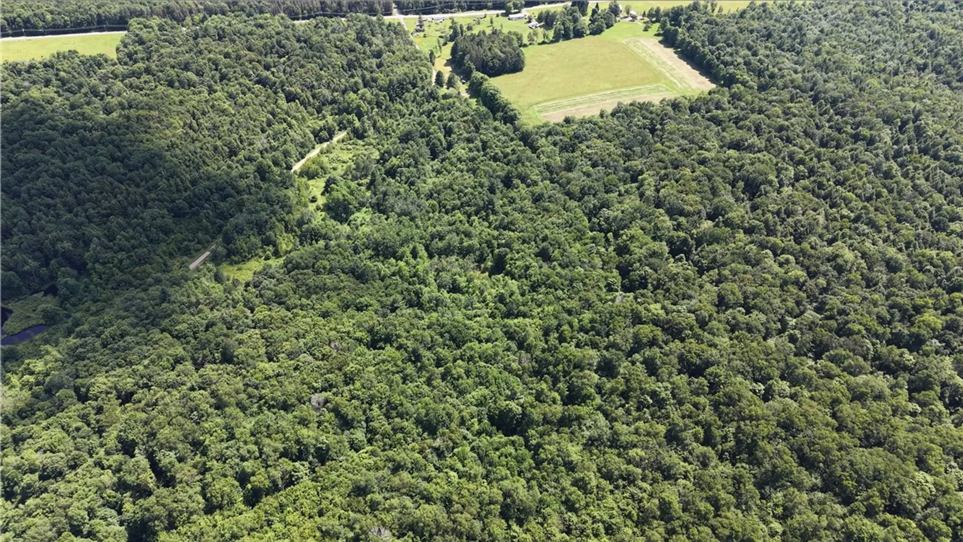 Property at *Rabbit Path (POLP: 409 Cty Rd 5), German, NY 13801 14