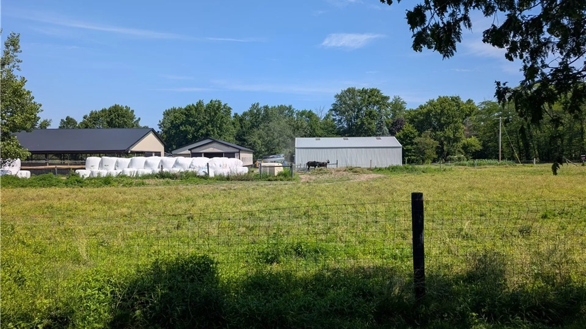 Property at 3402 Fruit Avenue, Ridgeway, NY 14103 48