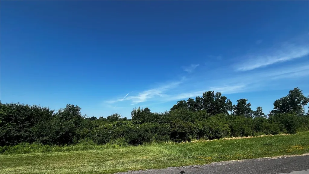 Property at 000 McIntyre Road, Canandaigua Town, NY 14424