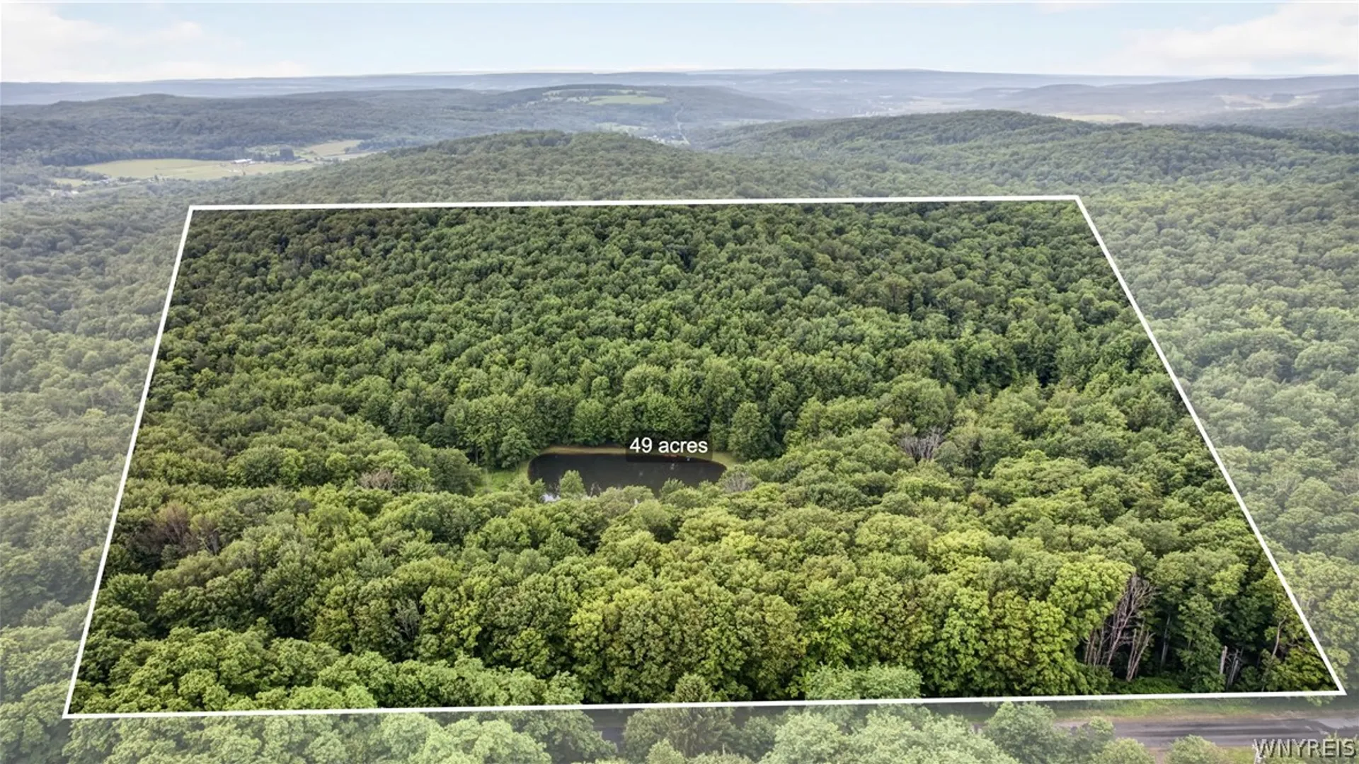 Property at 8719 Rohr Hill Road, East Otto, NY 14171 48