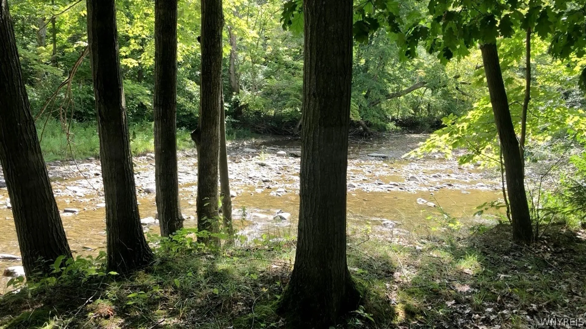 Property at 1790 Davis Road, Aurora, NY 14170 41
