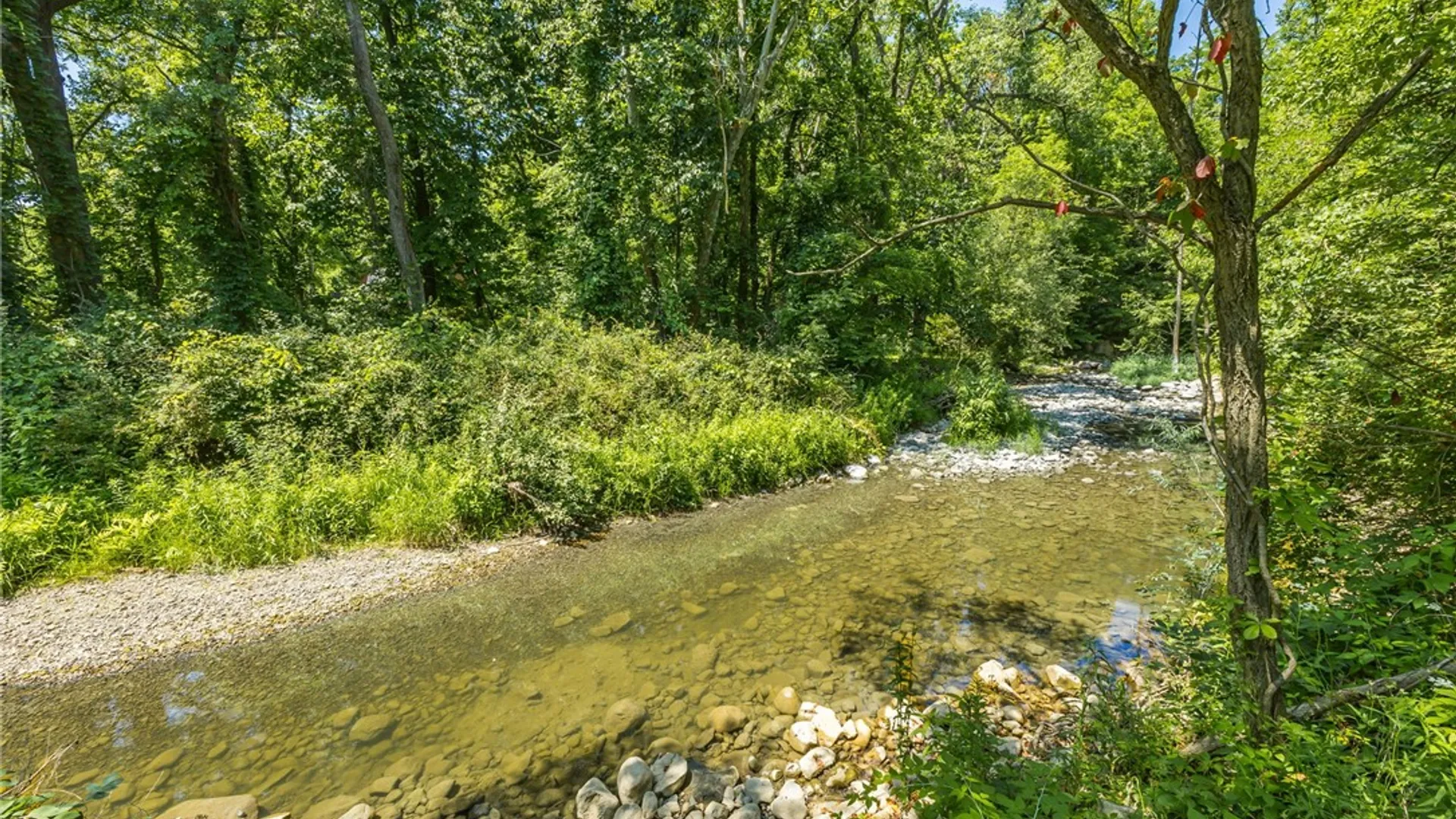 Property at 4186 S Frost Hollow Road, Richmond, NY 14487 8