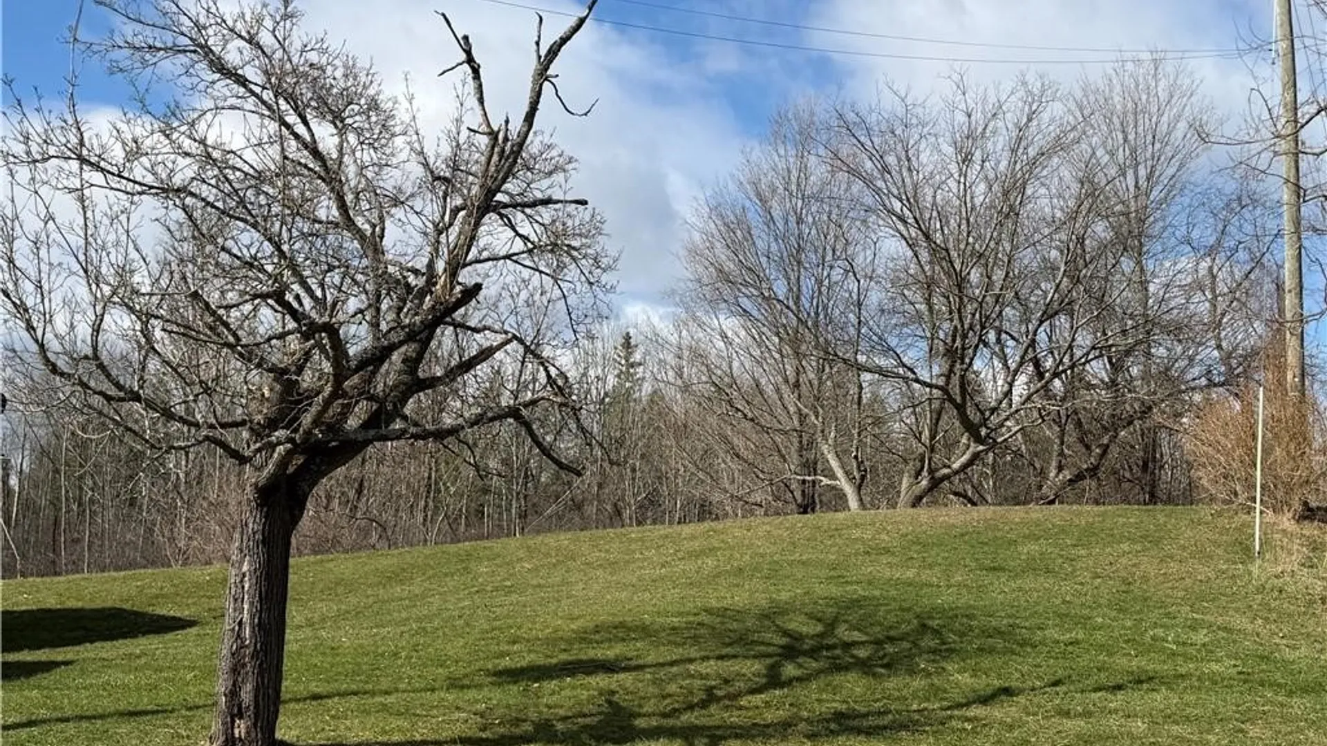 Property at 9580 Lodi Center Road, Lodi, NY 14860 10