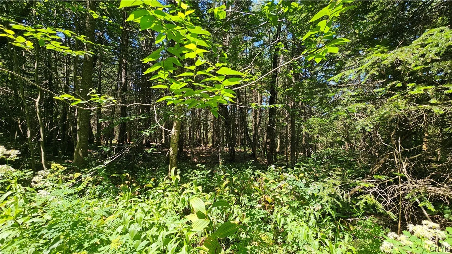 Property at 6380 Doyle Road, Martinsburg, NY 13404 2