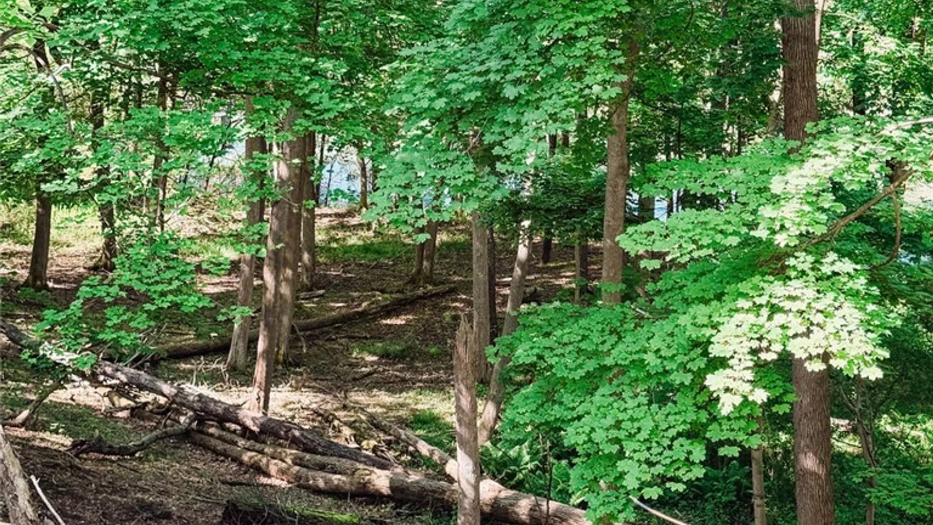 Property at 7319 Owasco Rd., Owasco, NY 13021 9