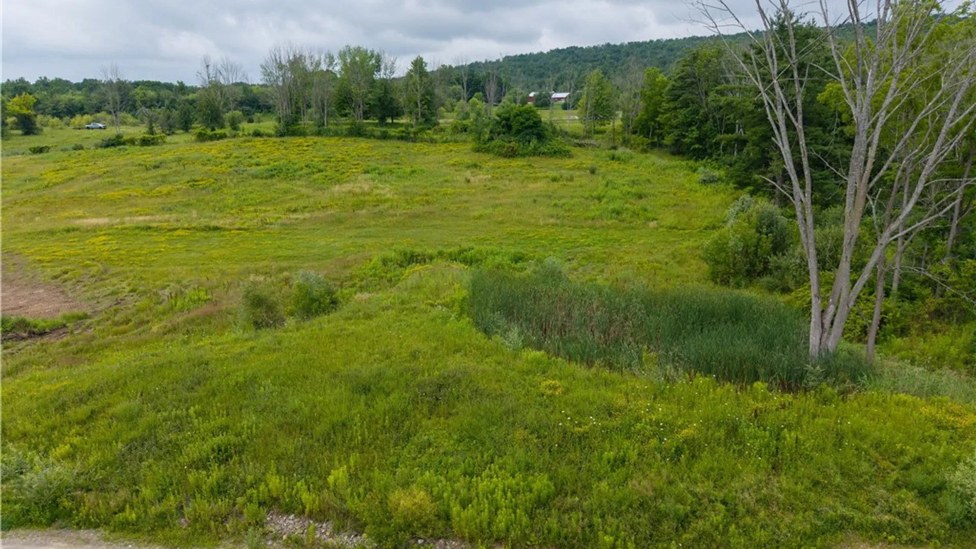 Property at 9094 Dansville Mount Morris Road, West Sparta, NY 14437 46