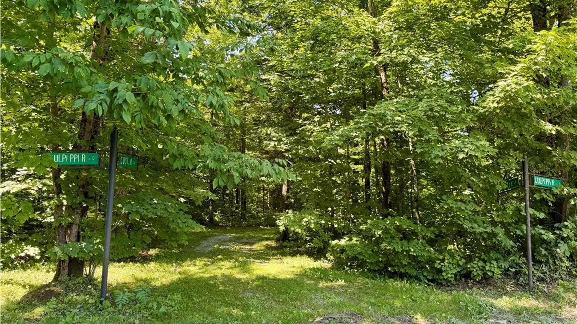 Property at 6319 Culpepper Road, Montague, NY 13367 28