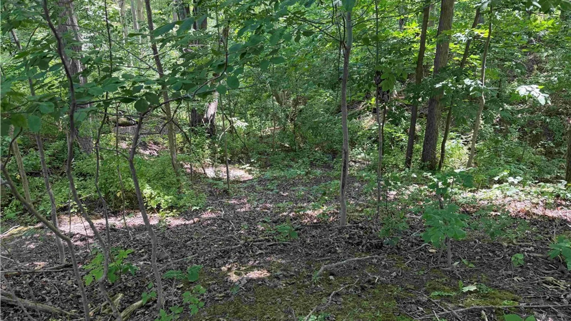Property at Cr-17, Belfast, NY 14711 10