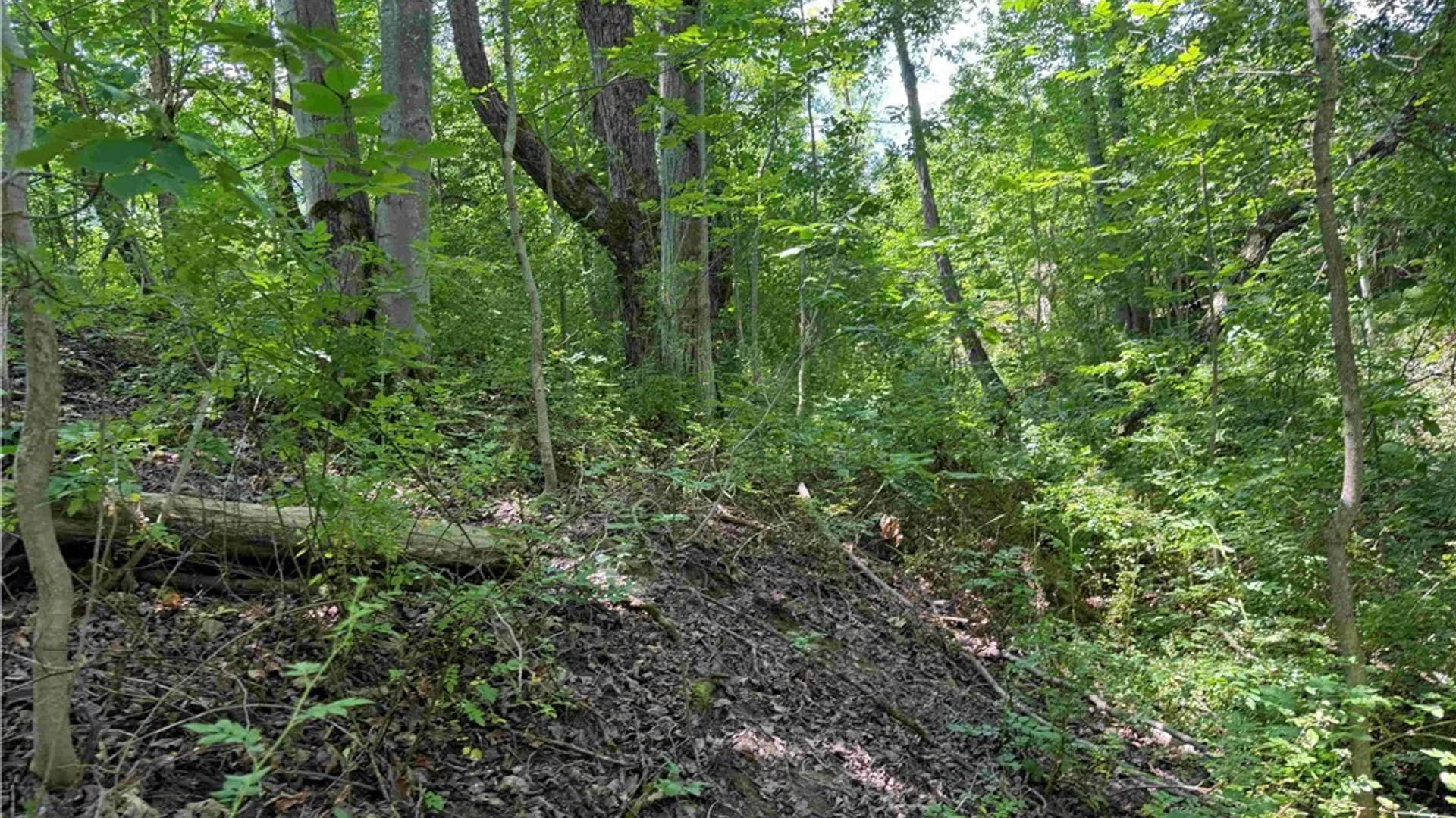 Property at Cr-17, Belfast, NY 14711 14