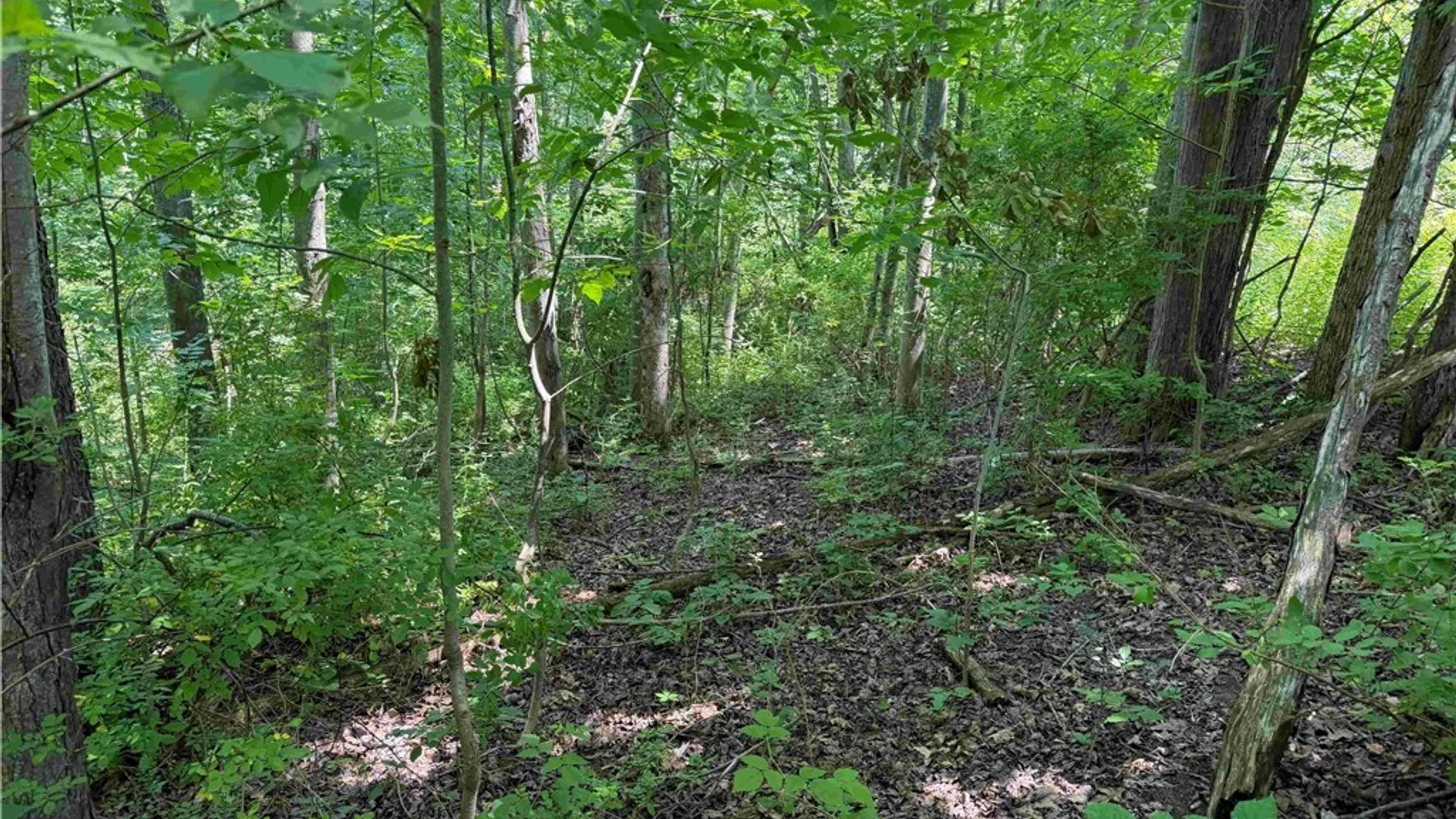 Property at Cr-17, Belfast, NY 14711 15