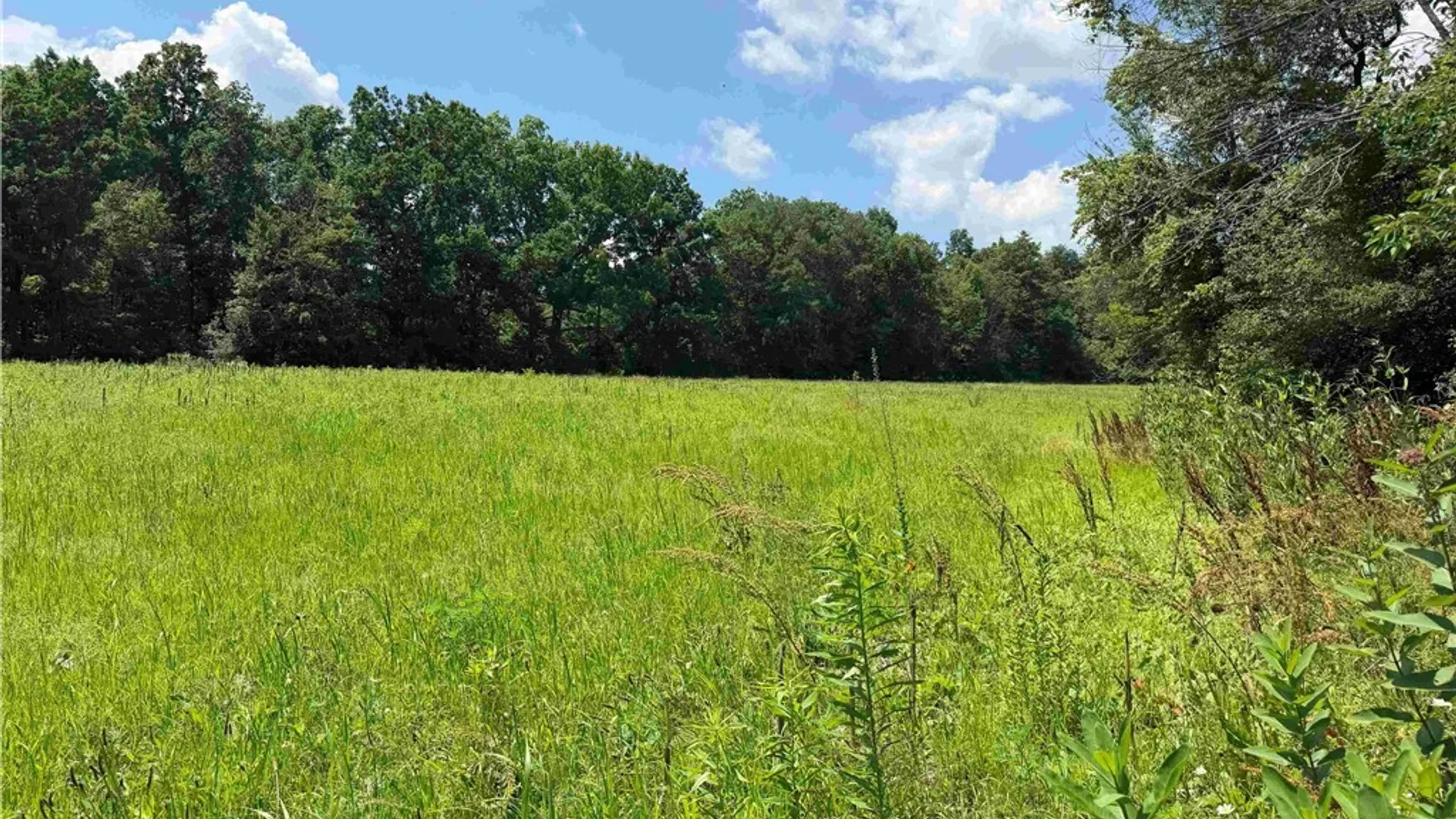 Property at Cr-17, Belfast, NY 14711 16