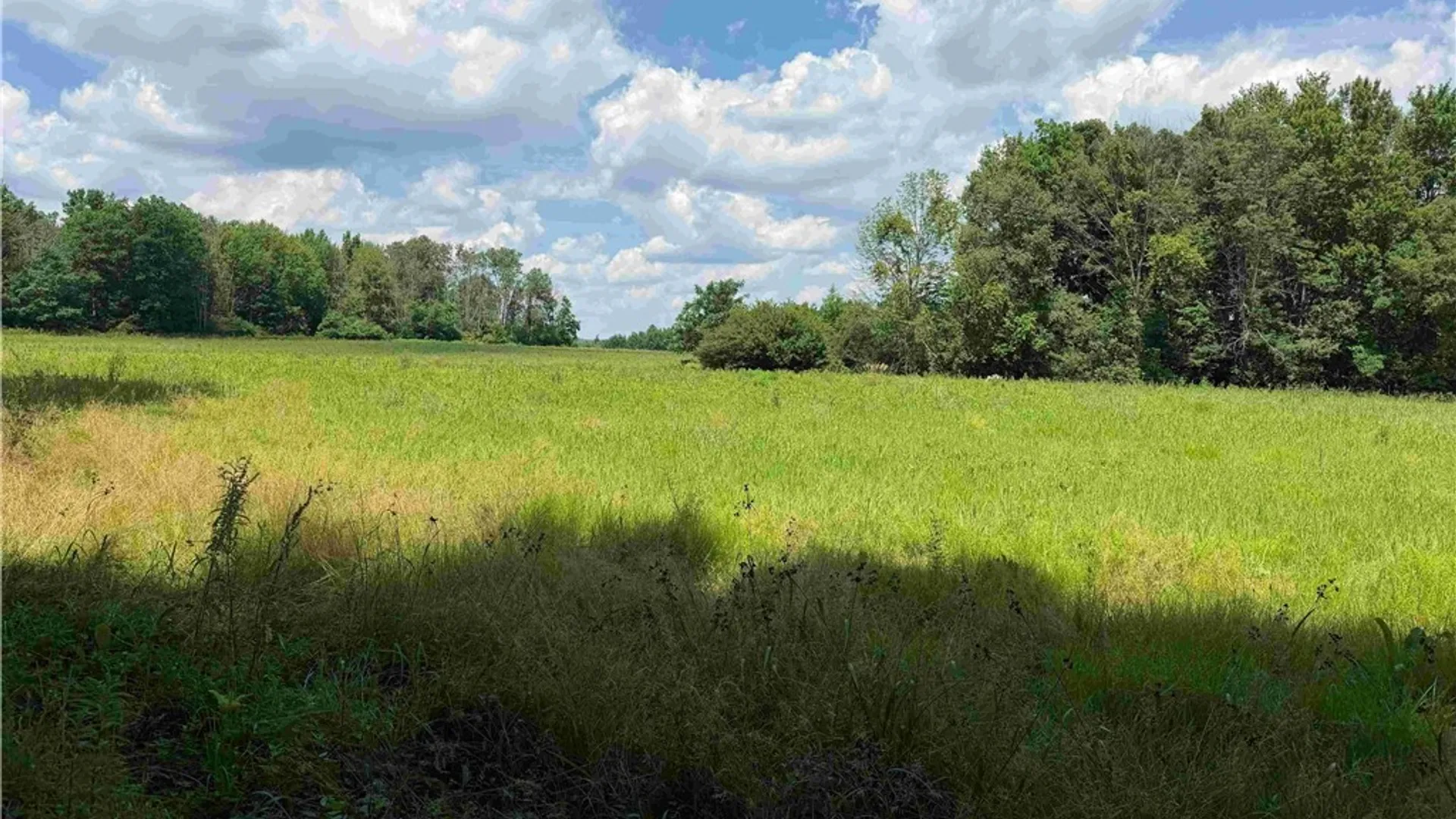 Property at Cr-17, Belfast, NY 14711 18
