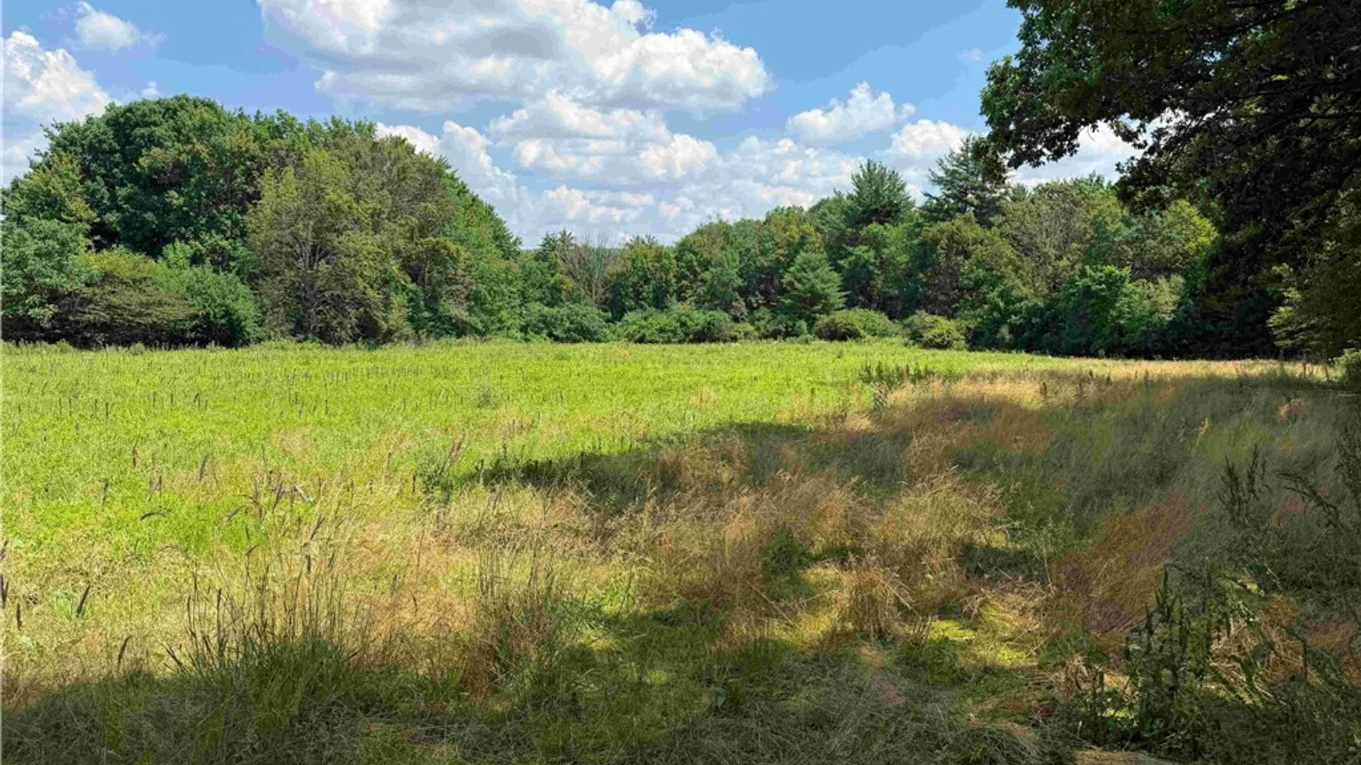 Property at Cr-17, Belfast, NY 14711 21