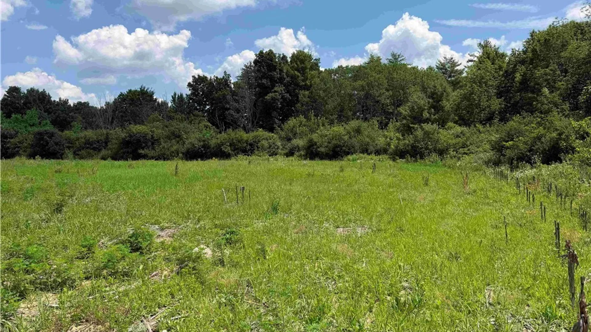 Property at Cr-17, Belfast, NY 14711 4