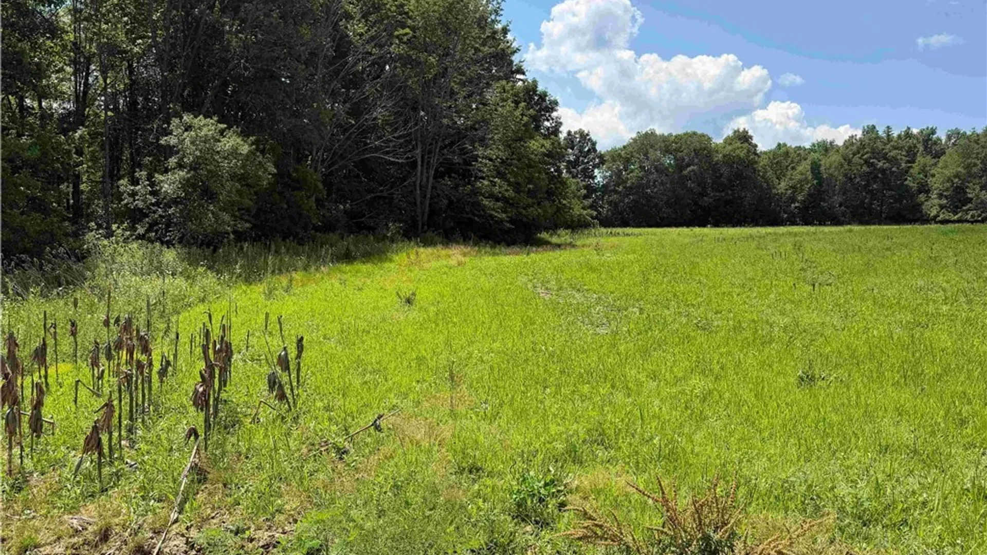 Property at Cr-17, Belfast, NY 14711 5