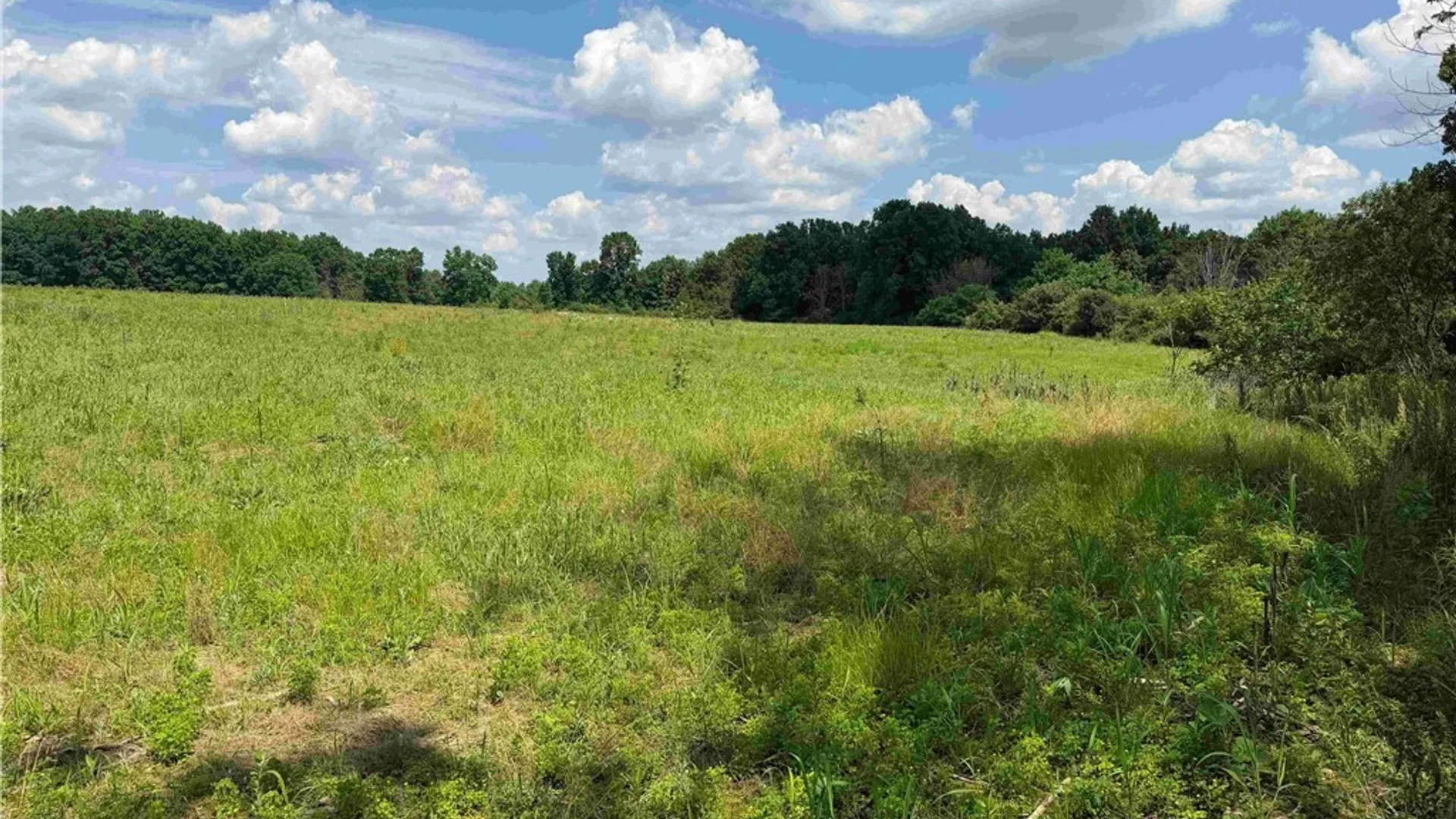 Property at Cr-17, Belfast, NY 14711 6