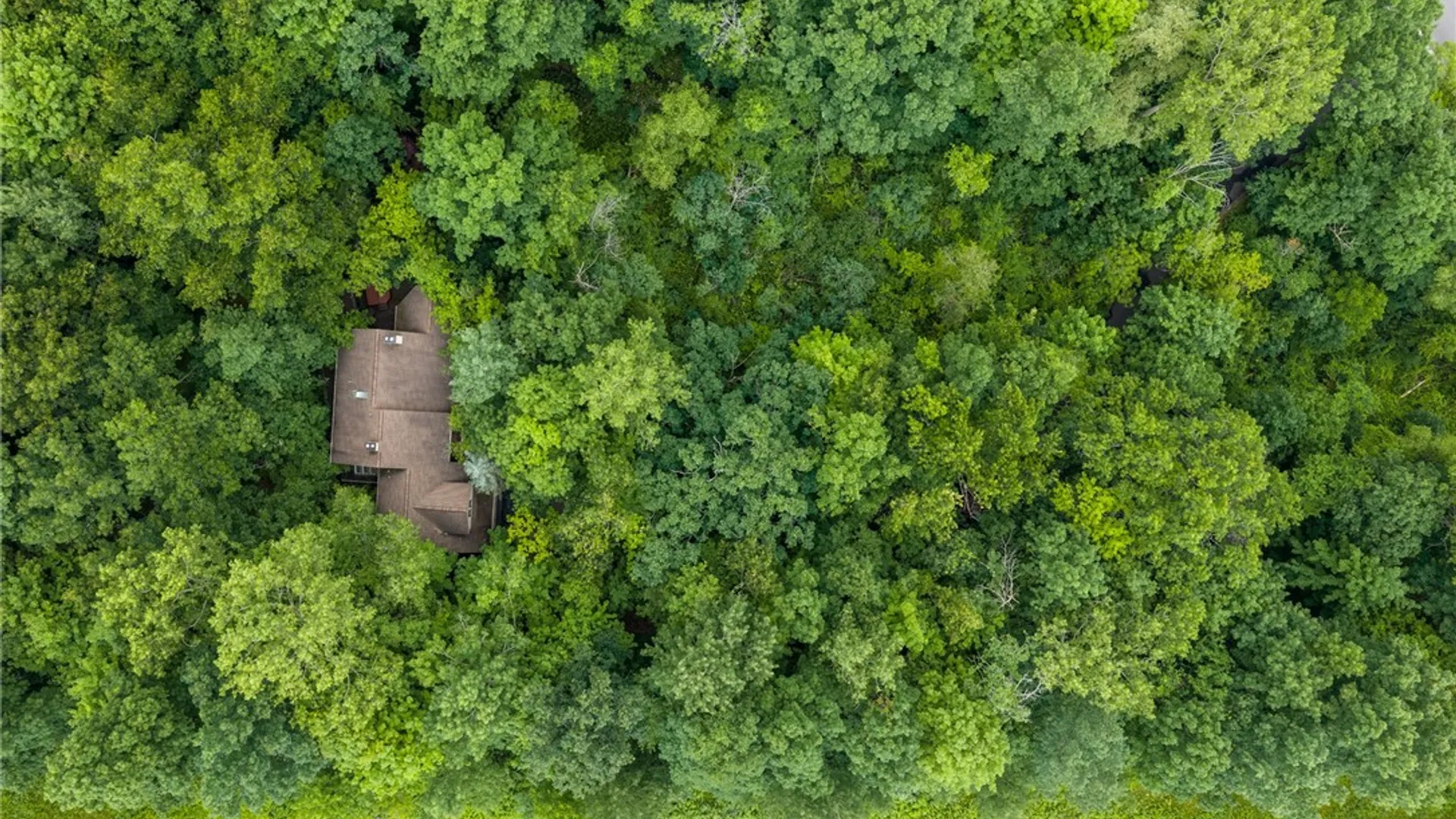 Property at 7271 Hertfordshire, Victor, NY 14564 4