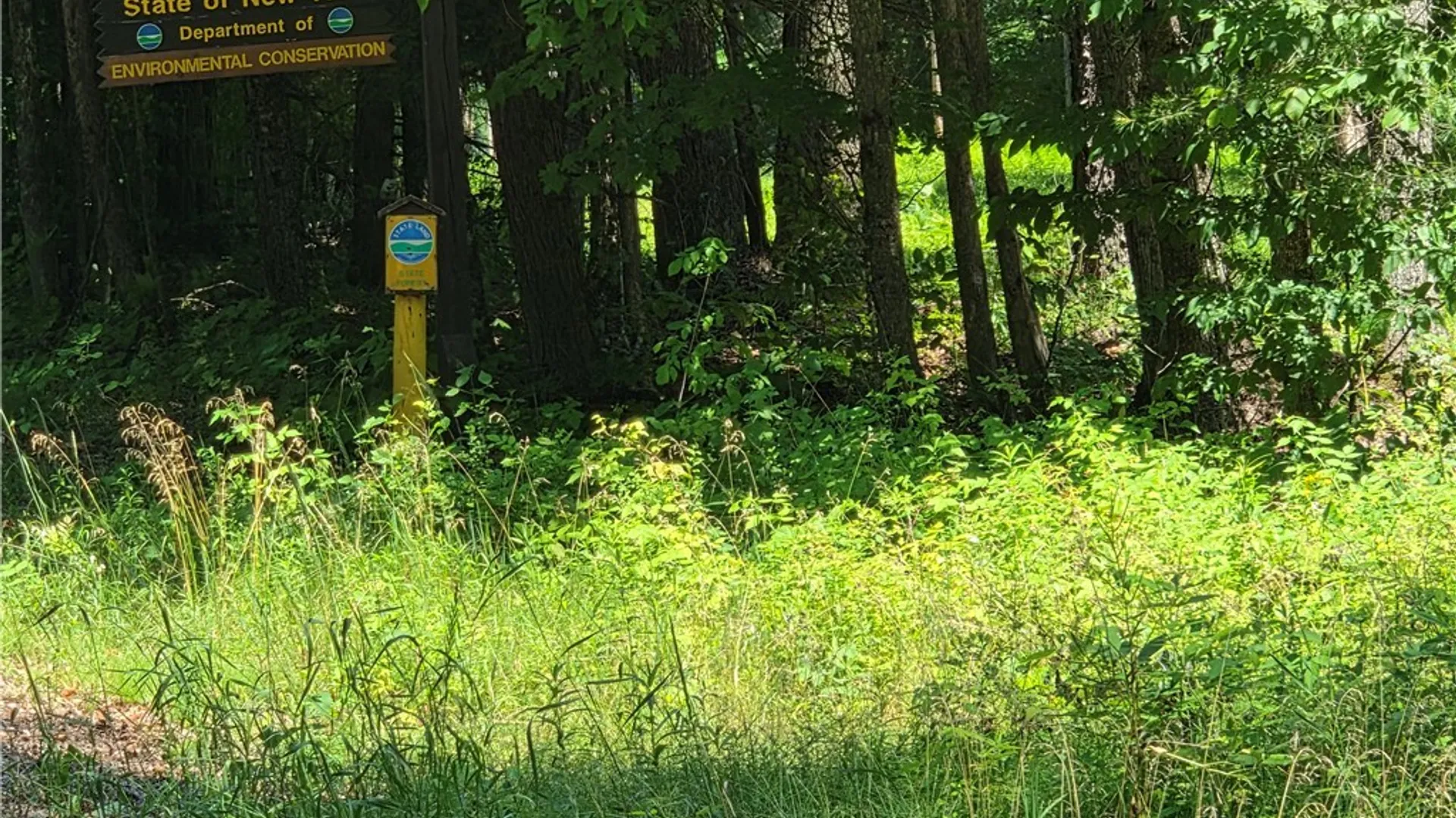 Property at 6466 S Chases Lake Road, Greig, NY 13343 11
