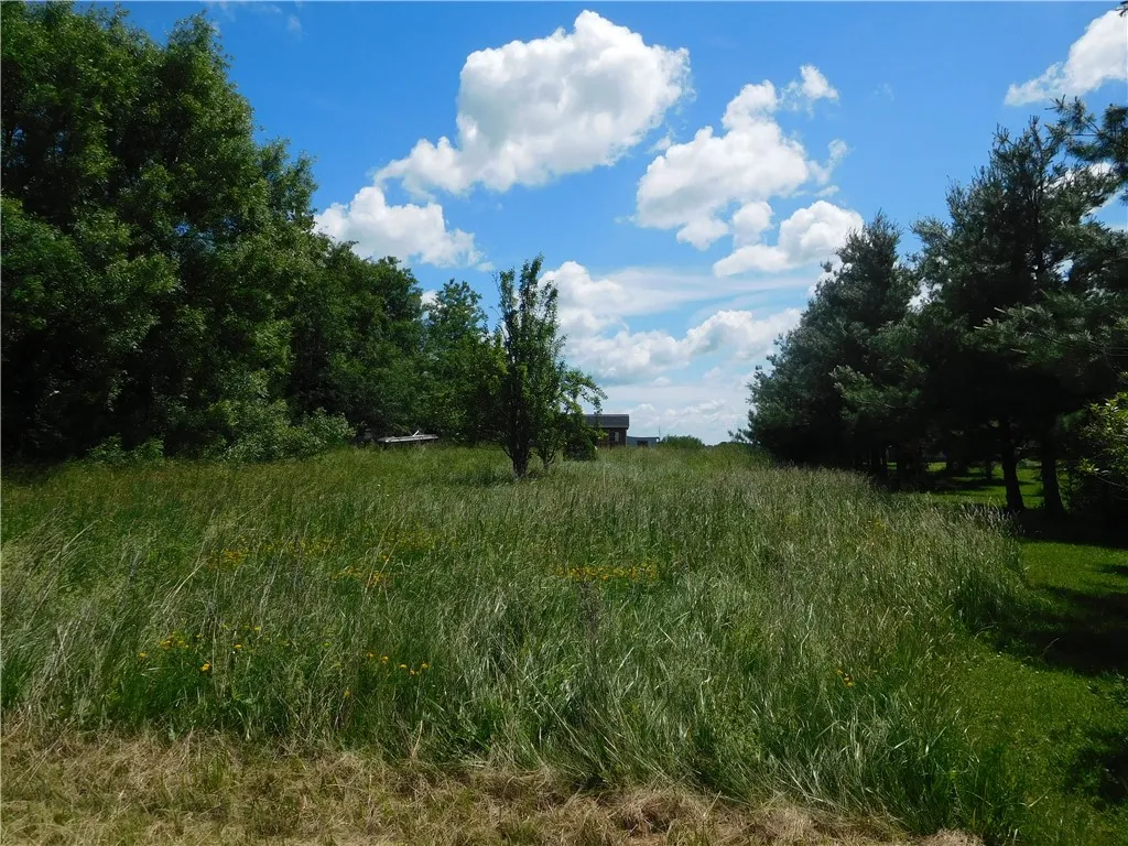 Property at 9727 Case (aka Vesa) Road, Lodi, NY 14847