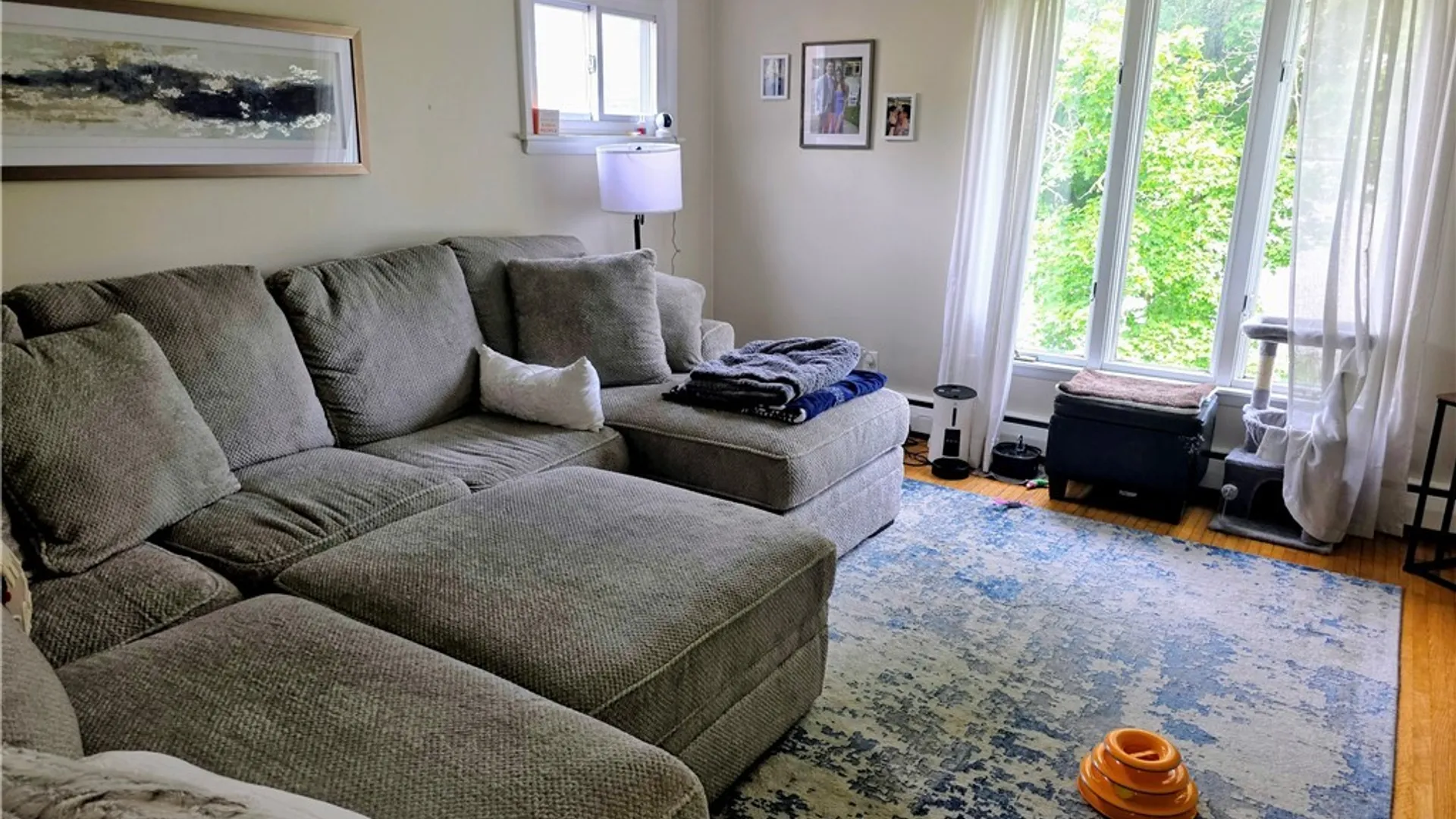 Property at 244 Evans Street, Amherst, NY 14221 8