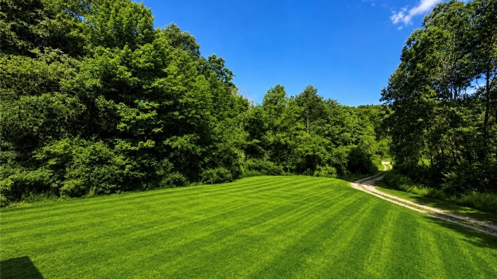 Property at 1740 County Road 16, Orange, NY 14812 34