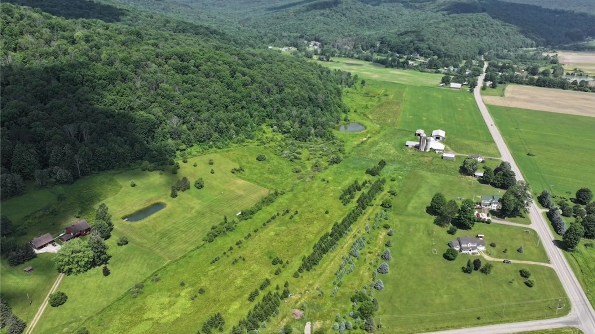 Property at 3723 W Five Mile Road, Allegany, NY 14706 4
