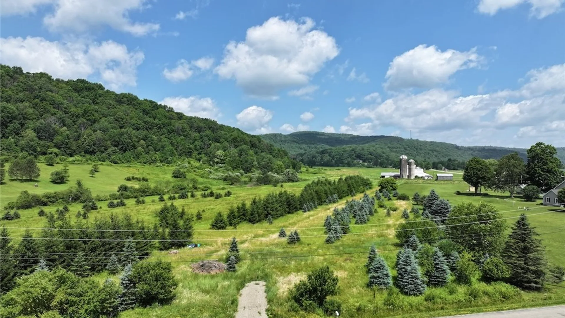 Property at 3723 W Five Mile Road, Allegany, NY 14706 6