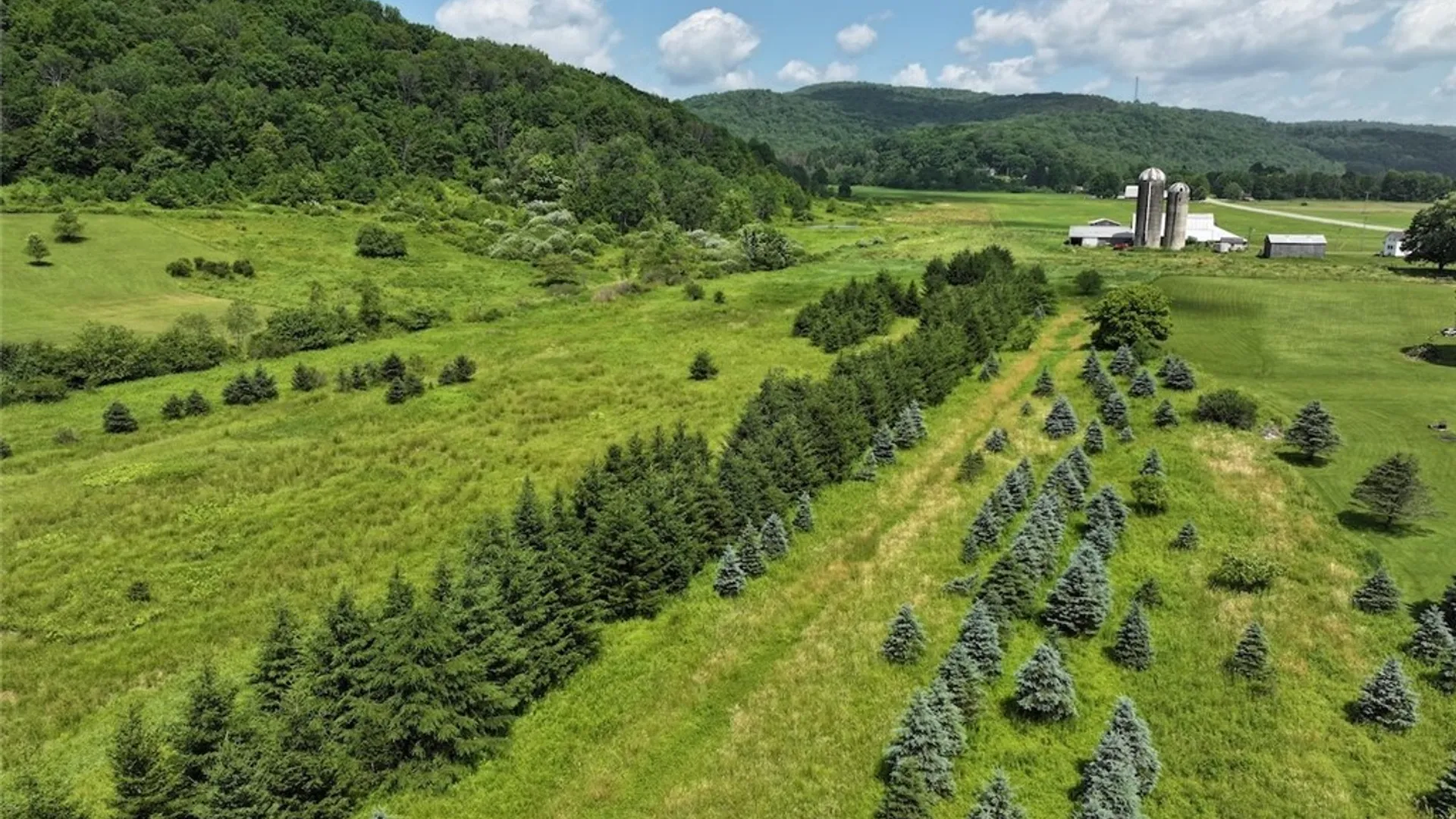 Property at 3723 W Five Mile Road, Allegany, NY 14706 7