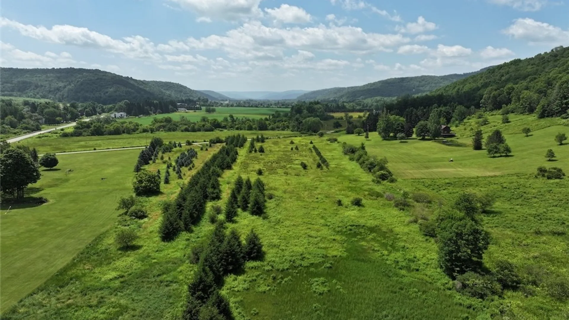 Property at 3723 W Five Mile Road, Allegany, NY 14706 8