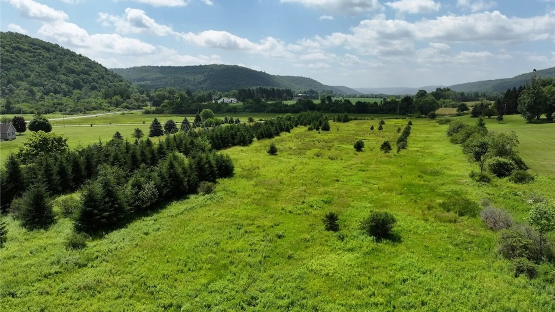 Property at 3723 W Five Mile Road, Allegany, NY 14706 10