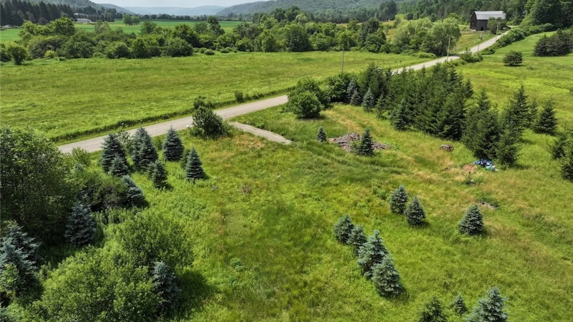 Property at 3723 W Five Mile Road, Allegany, NY 14706 12