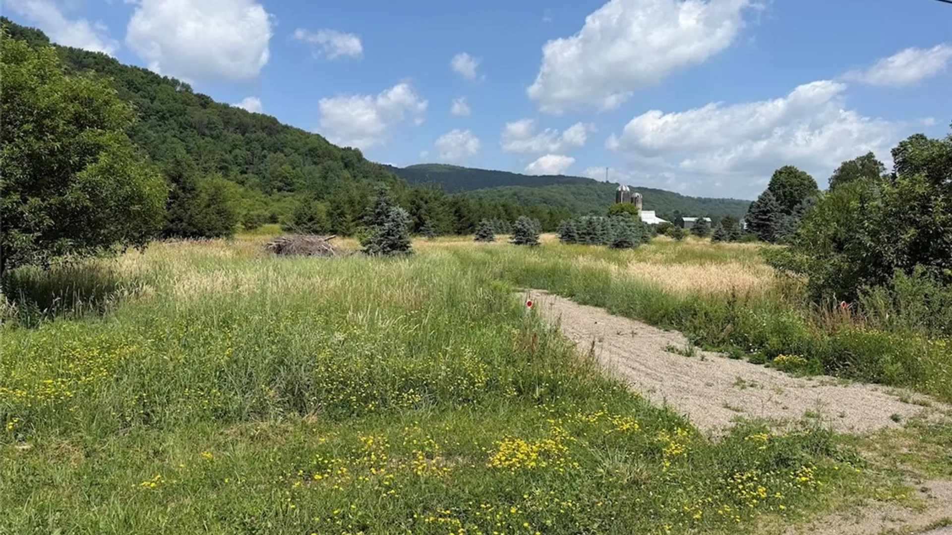 Property at 3723 W Five Mile Road, Allegany, NY 14706 13