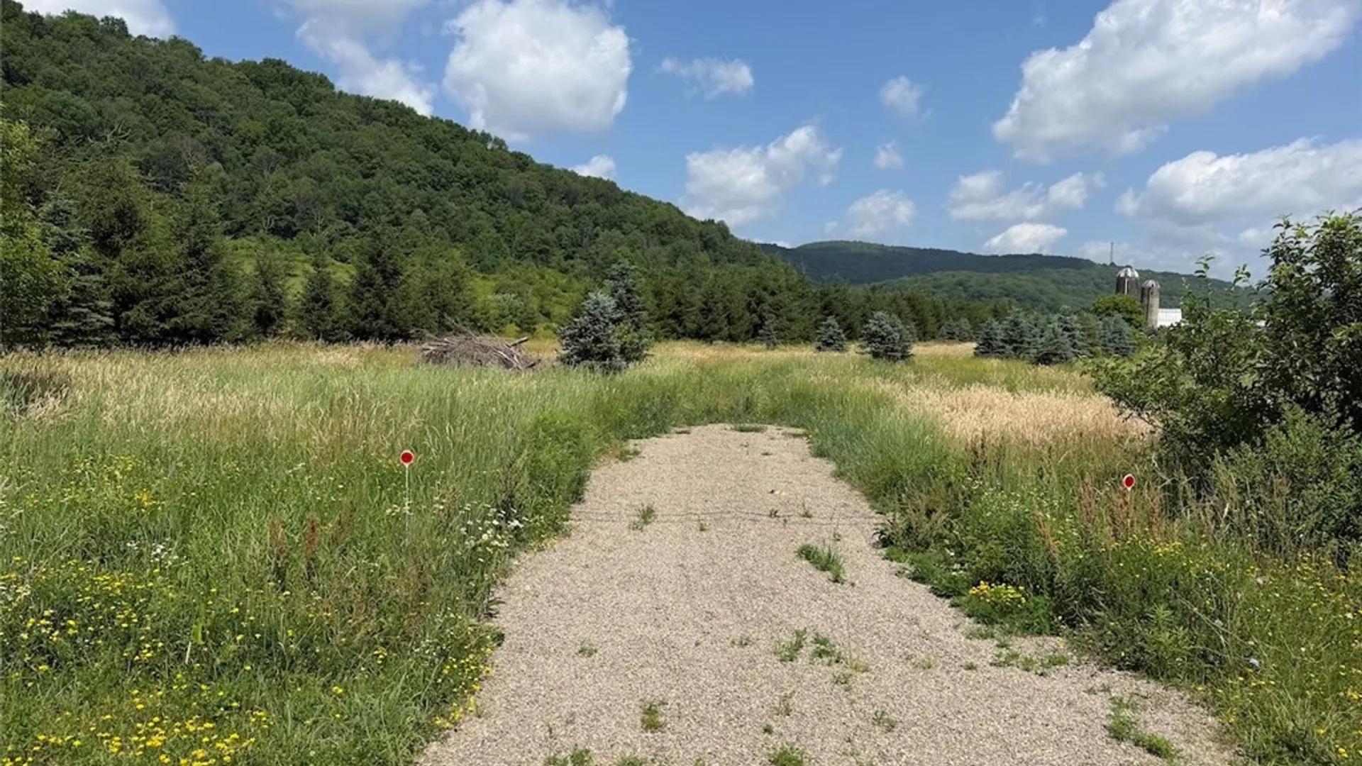 Property at 3723 W Five Mile Road, Allegany, NY 14706 14