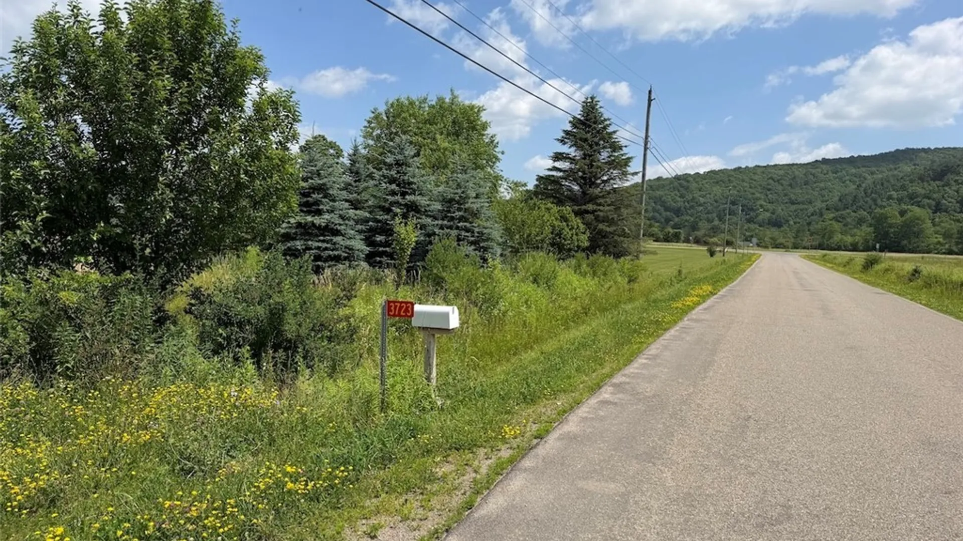 Property at 3723 W Five Mile Road, Allegany, NY 14706 15