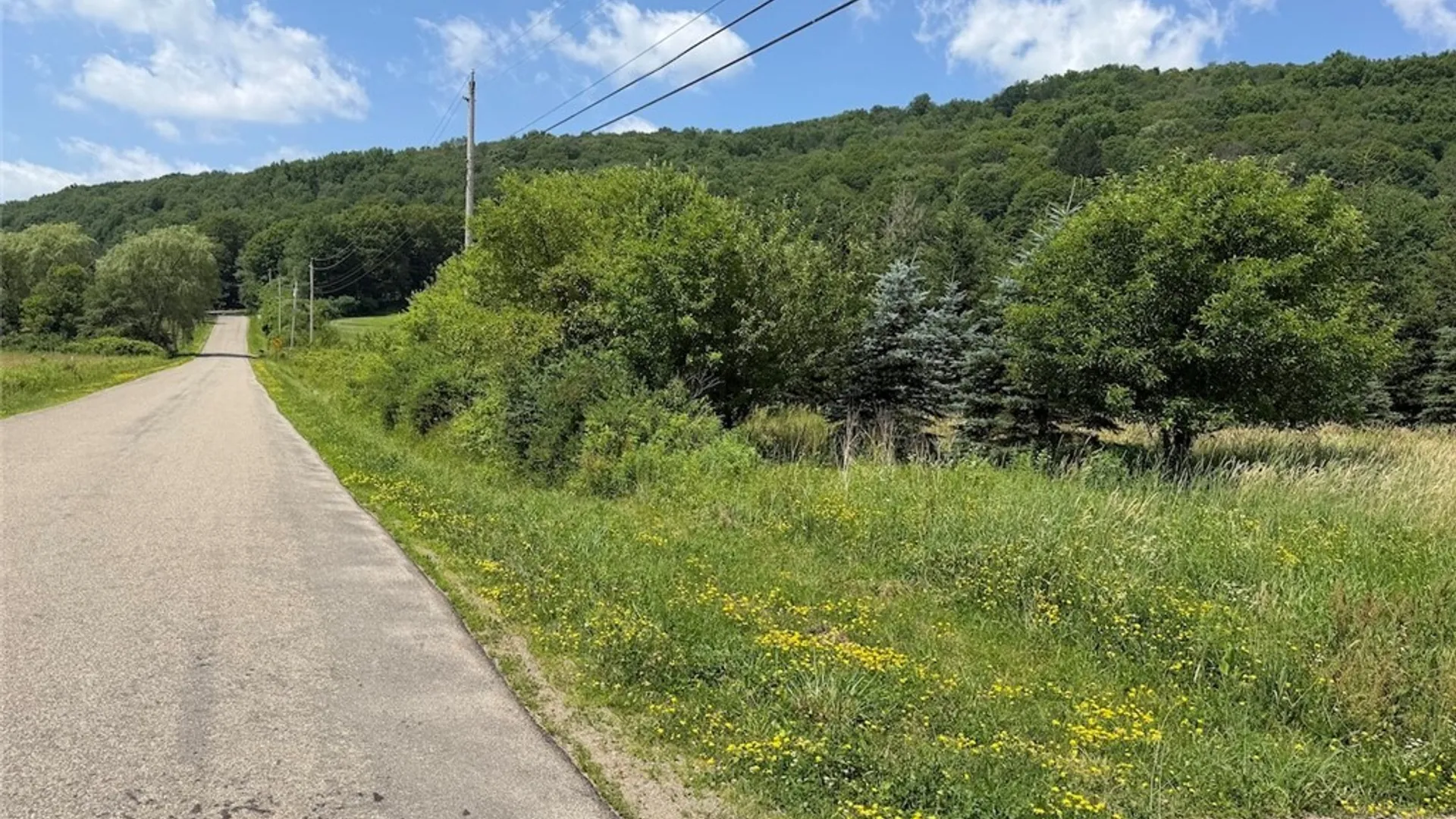 Property at 3723 W Five Mile Road, Allegany, NY 14706 16