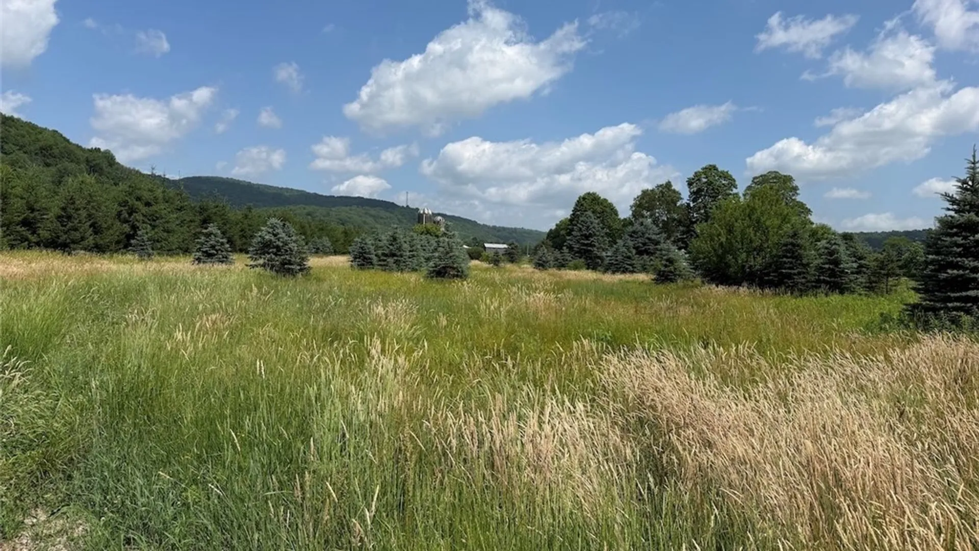 Property at 3723 W Five Mile Road, Allegany, NY 14706 17