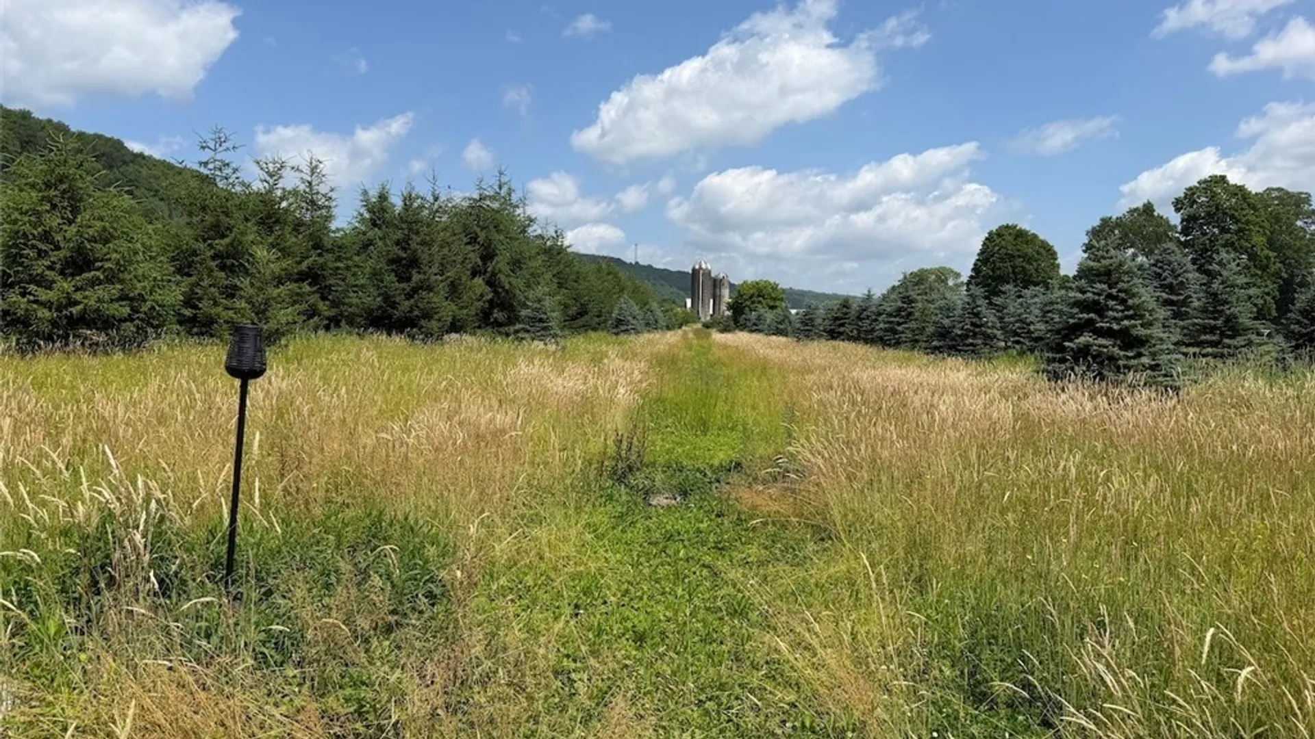 Property at 3723 W Five Mile Road, Allegany, NY 14706 18