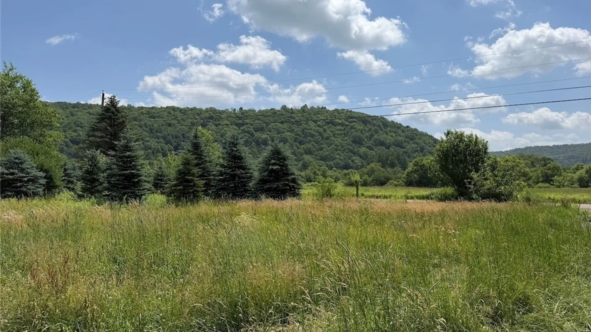 Property at 3723 W Five Mile Road, Allegany, NY 14706 19
