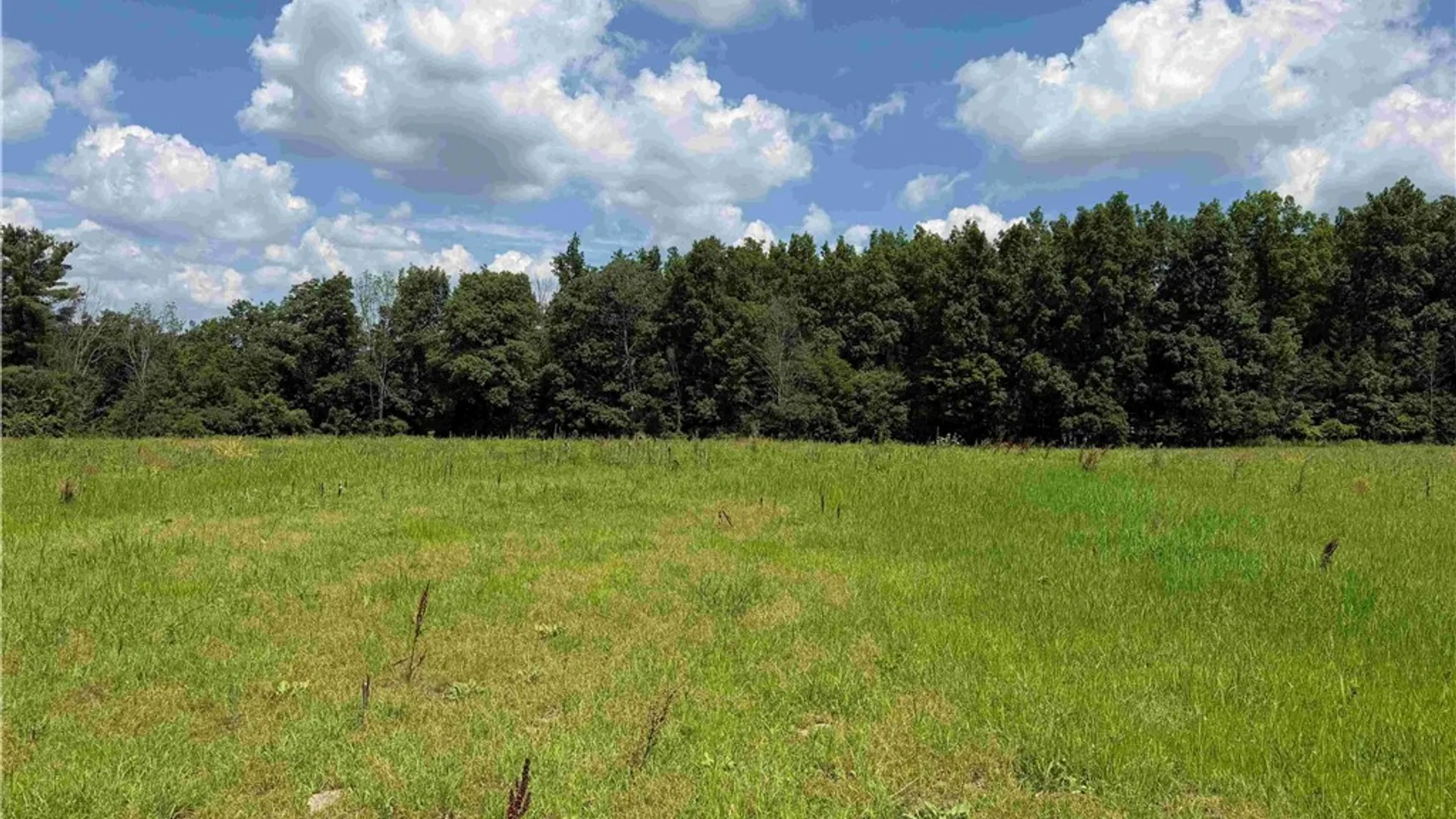 Property at Cr-17, Belfast, NY 14711 5