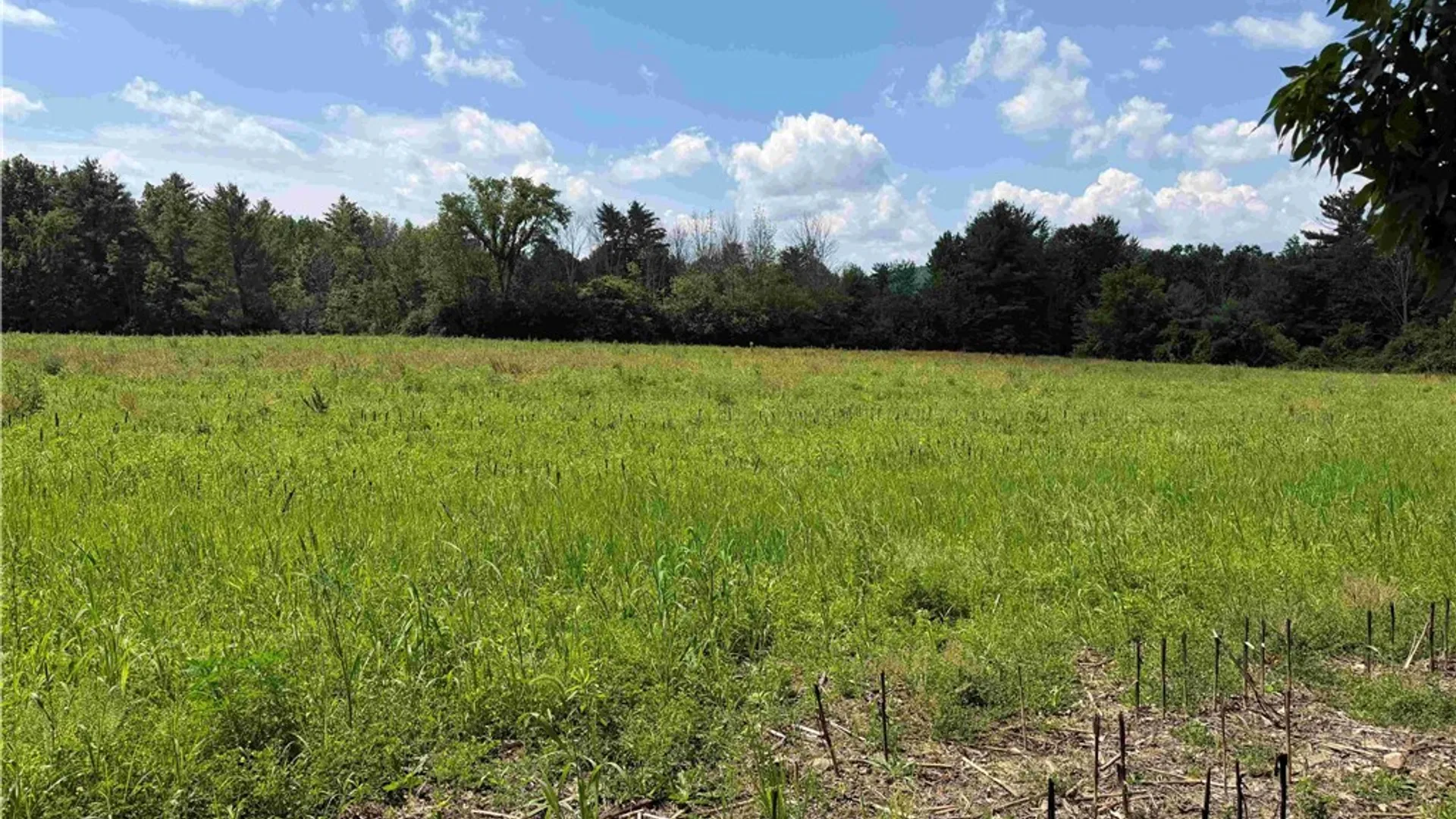 Property at Cr-17, Belfast, NY 14711 6