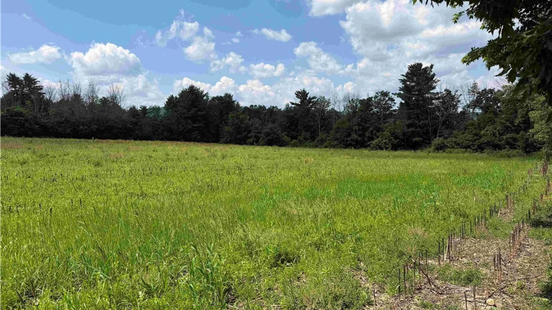 Property at Cr-17, Belfast, NY 14711 7