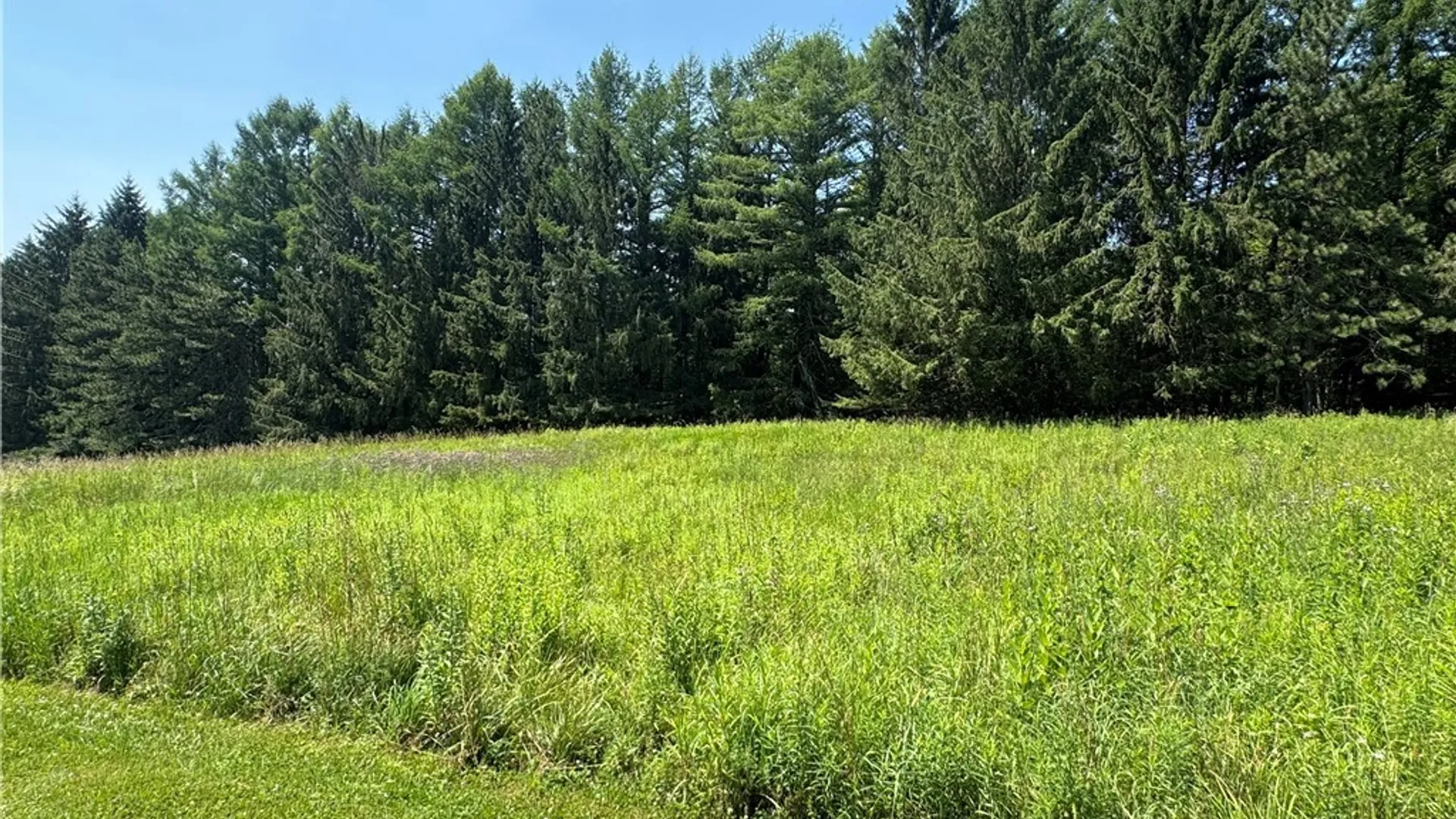 Property at 2 Bonney Hill Rd Road, Hamilton, NY 13346 14