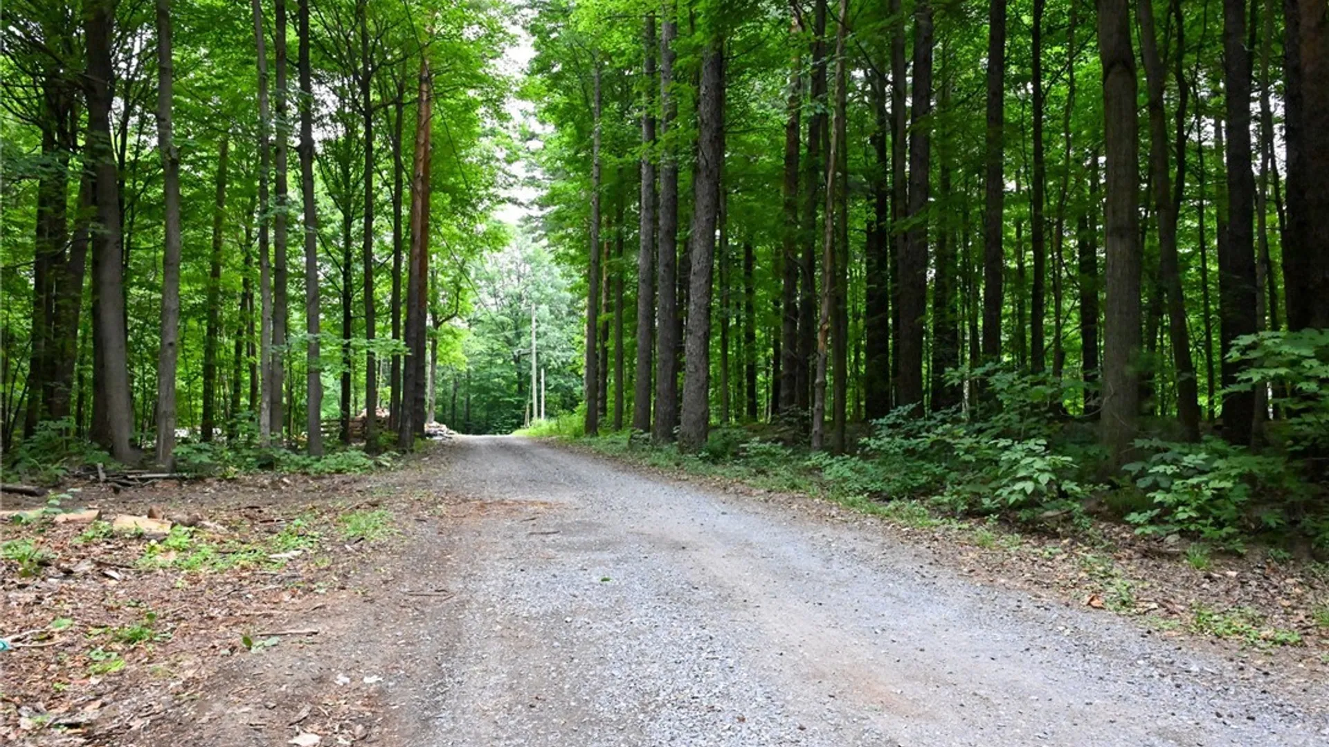 Property at 33500 Lamb Road, Champion, NY 13619 23