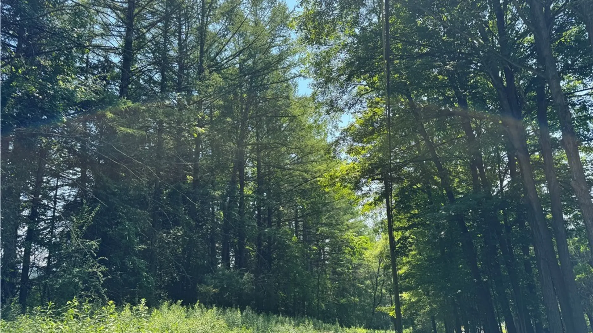Property at 1 Bonney Hill Road, Hamilton, NY 13346 5