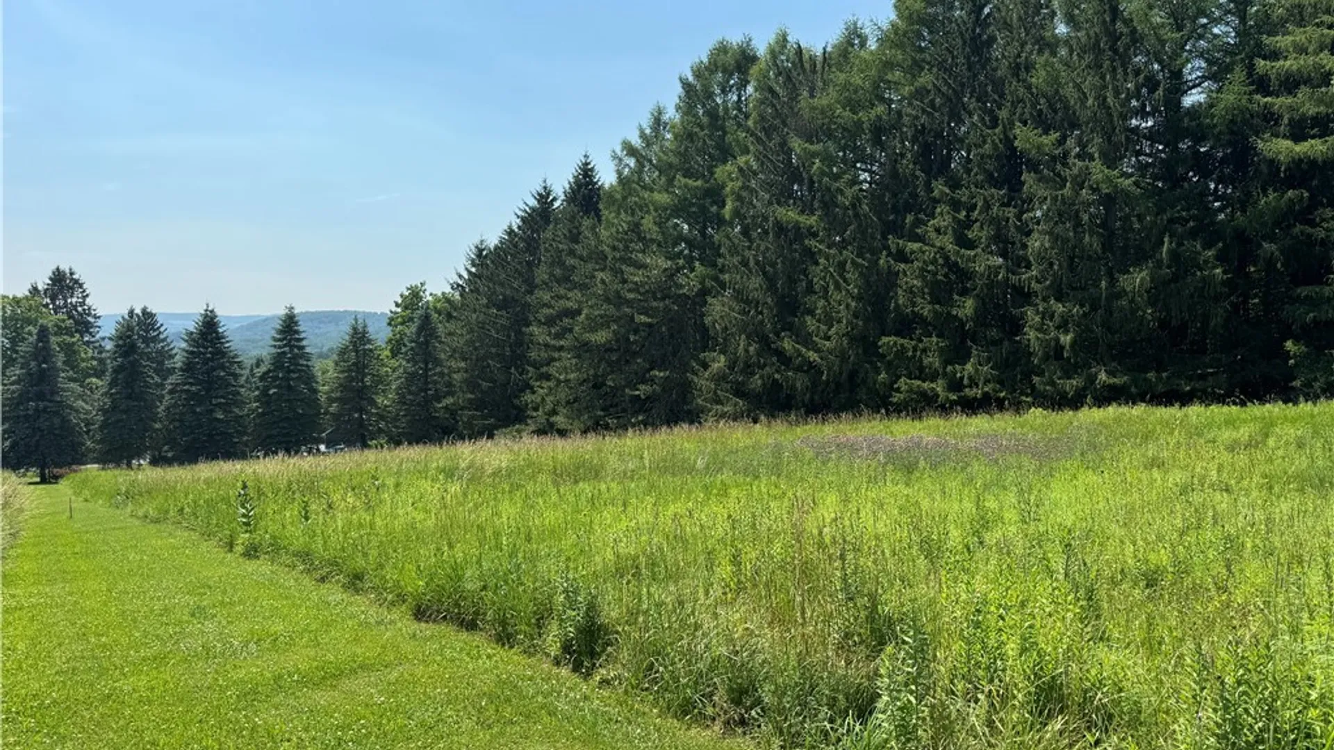 Property at 1 Bonney Hill Road, Hamilton, NY 13346 13
