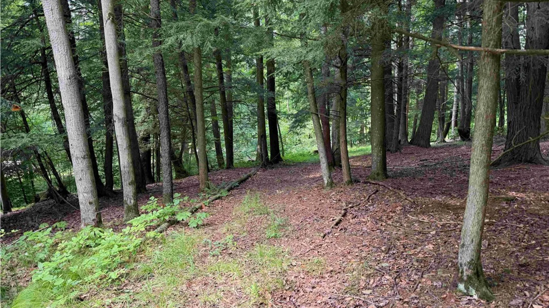Property at Cr-17, Belfast, NY 14711 11