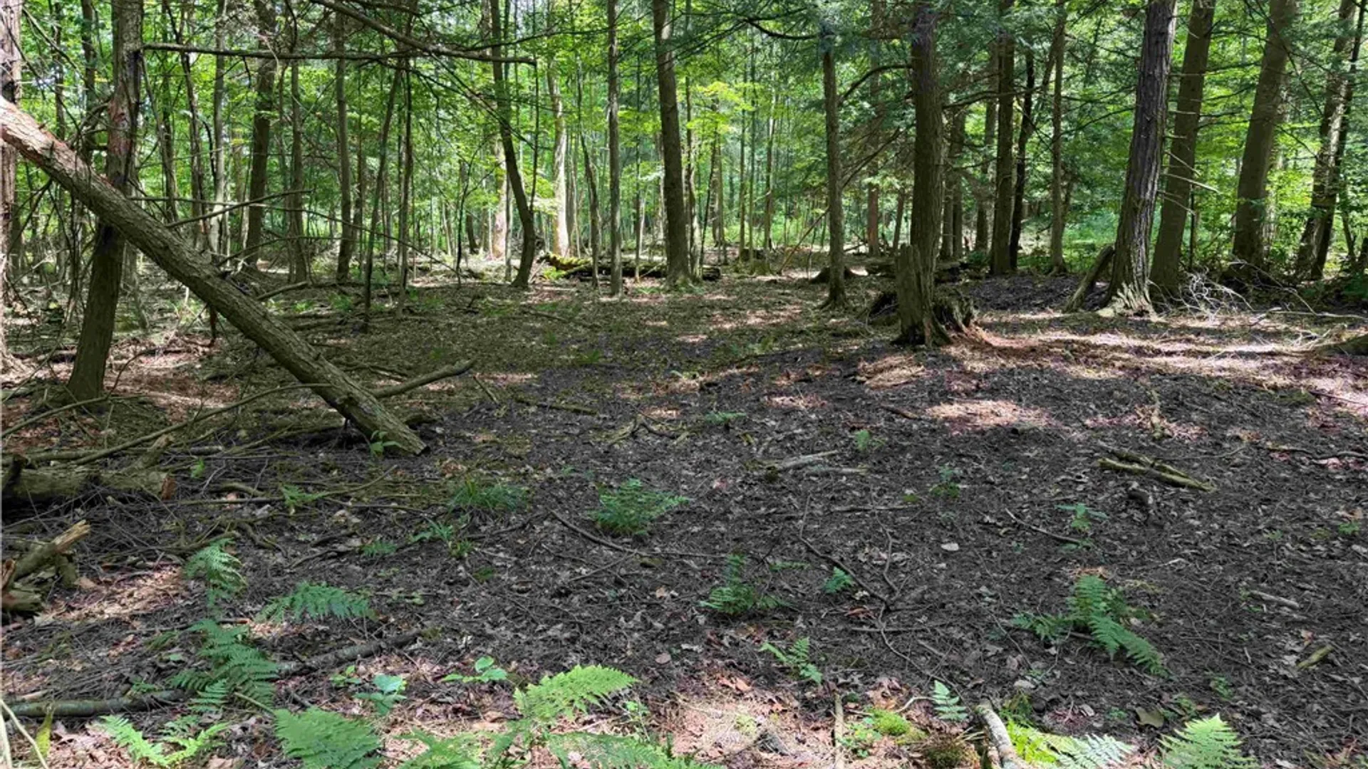 Property at Cr-17, Belfast, NY 14711 12